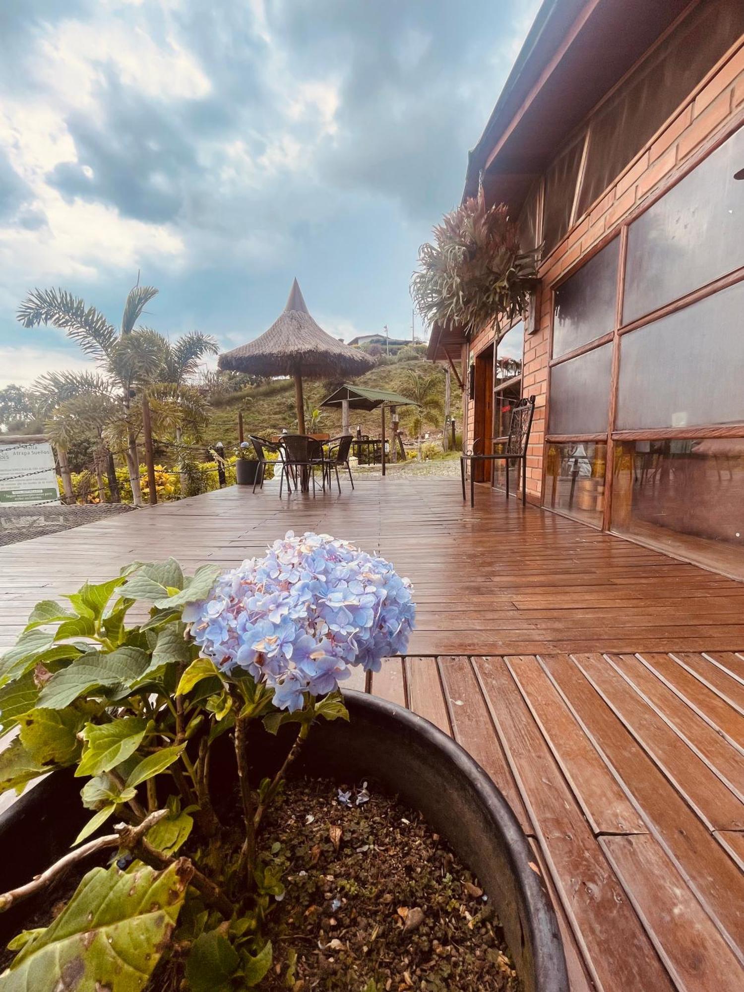 Entre Verdes Hotel & Glamping Ebejico エクステリア 写真